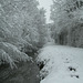 "Quand fond la neige, où va le blanc ?"