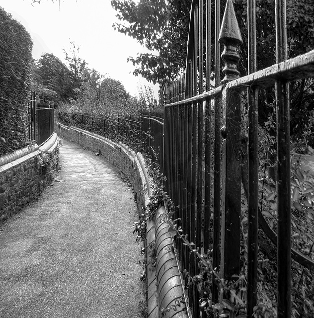 Footpath through Guildford Castle Gardens a B&W conversion