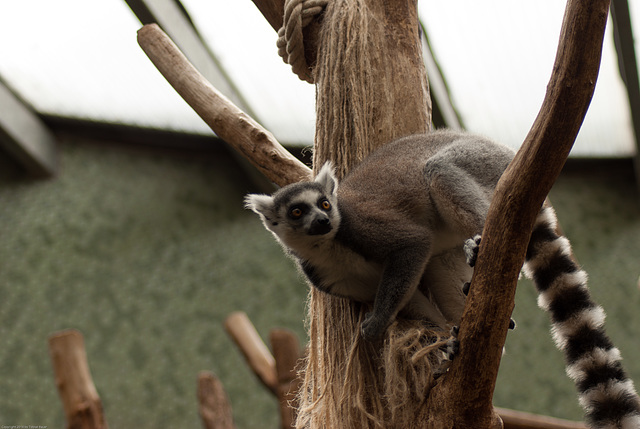 Tierpark Hellabrunn