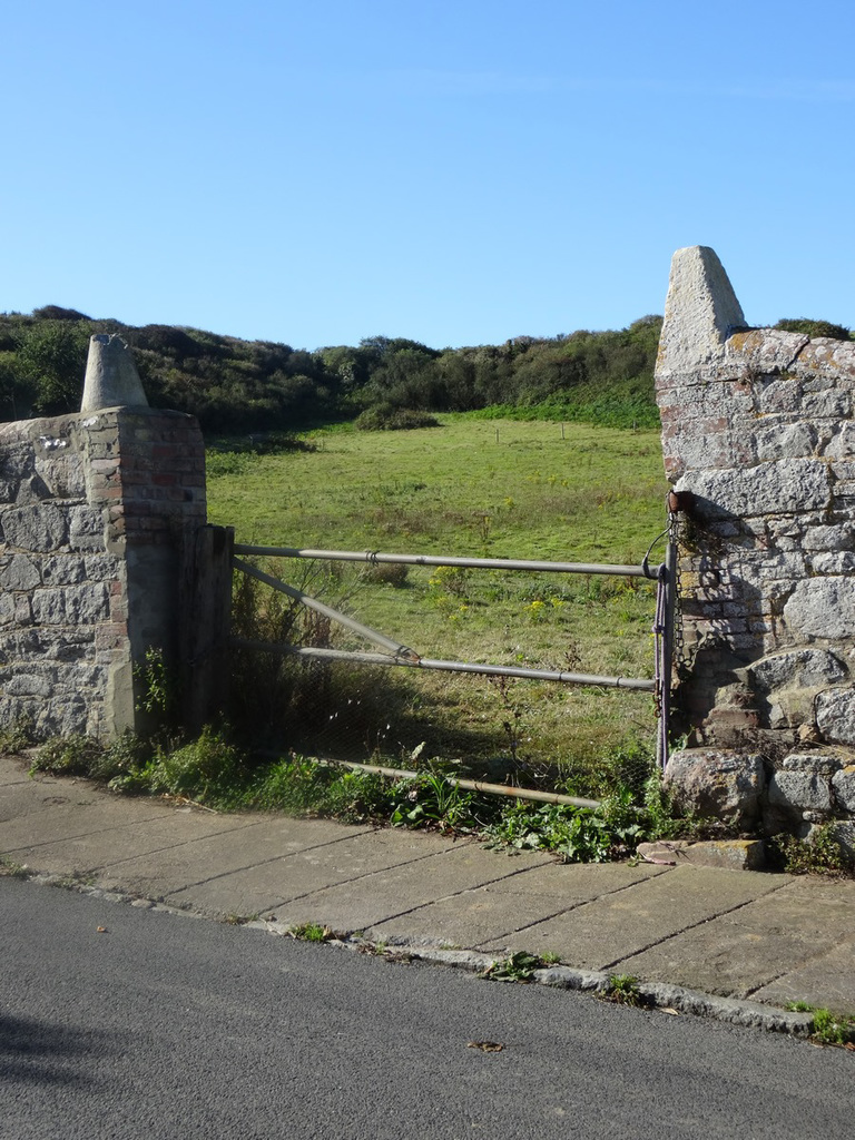 aysep2019sv (1164)