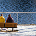 Nidelva bench