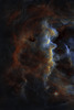 Starless "Trump Nebula"?