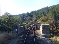 Taieri Gorge Railway (3) - 1 March 2015