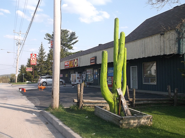 Marché Kaz