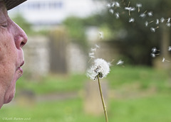 Scattering the Seeds