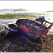 Le cimetière de bateaux à Quelmer (35)