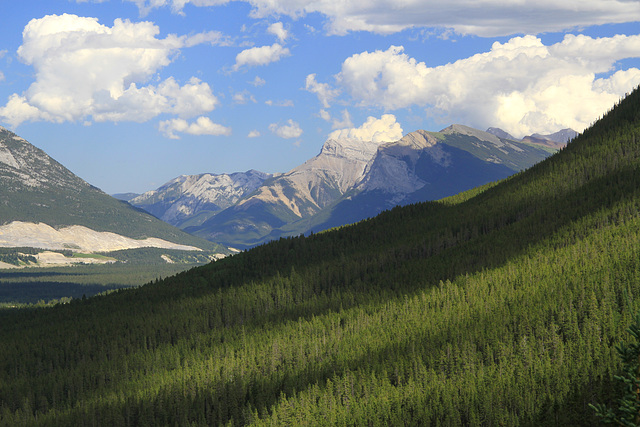 Grassi Lakes Trail