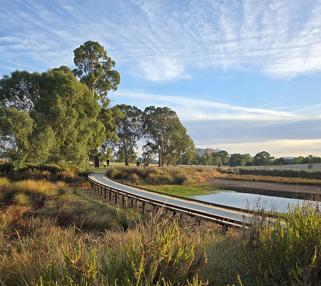 the dry boardwalk