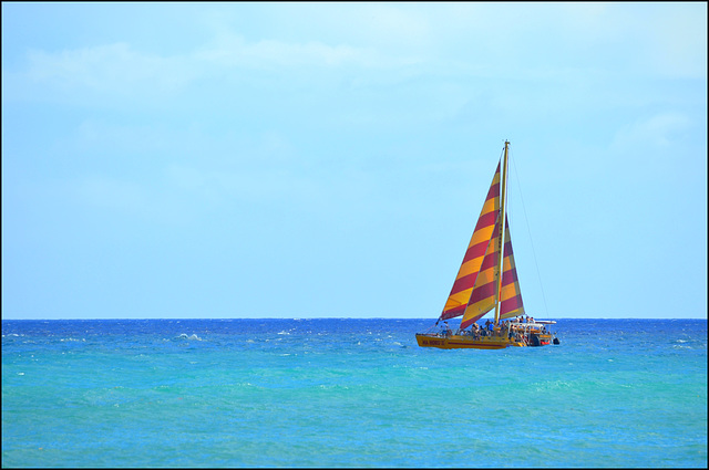 behind the condo - waikiki