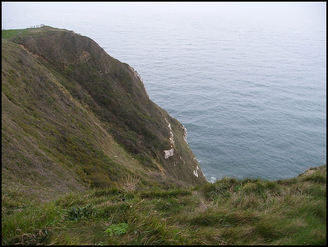 high cliffs near Beer