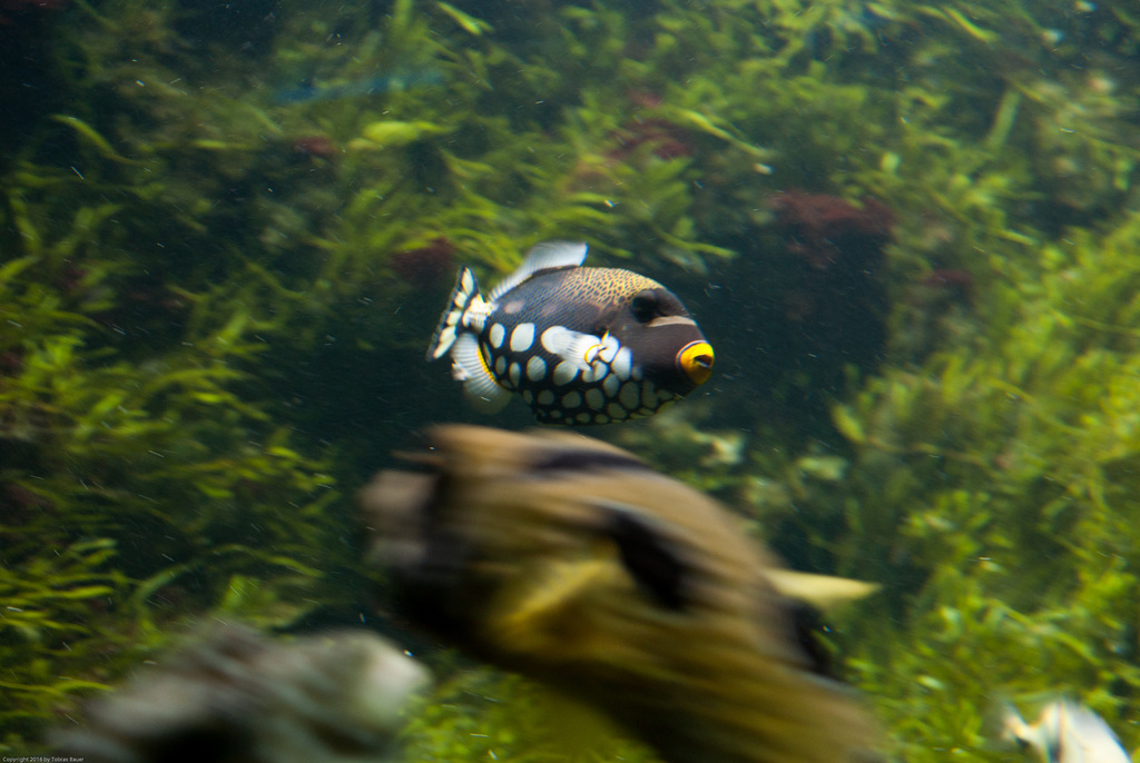 Tierpark Hellabrunn
