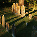 Shadows in the Graveyard