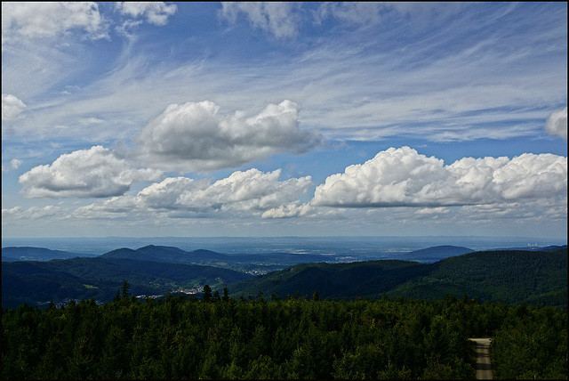 Nordschwarzwald