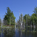 Tawas Point