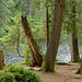 Etang de la Gruère