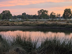 Dawn at the wetlands