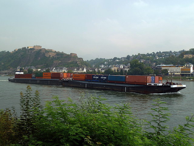 Containerschubverband Bergwärts bei Koblenz