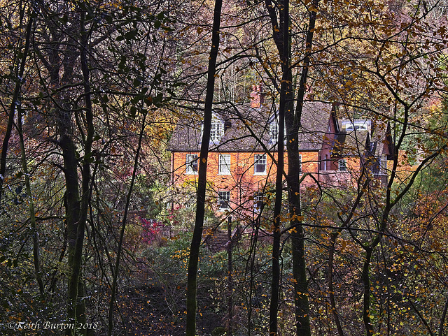 The House in the Woods