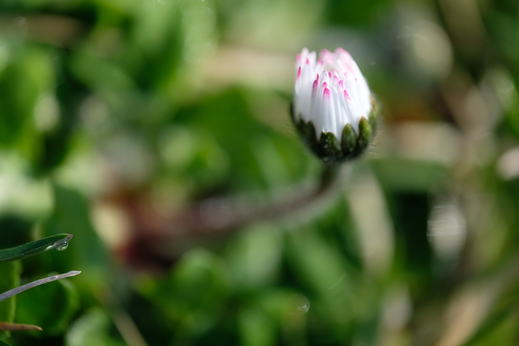 DSCF3995