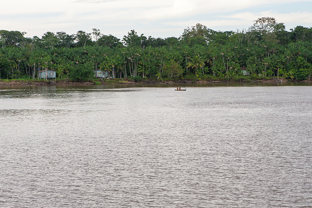 Amazonas-0682