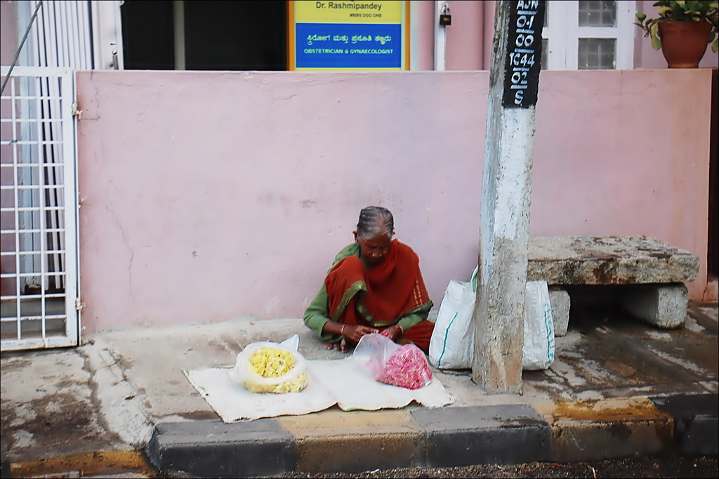 Flower seller