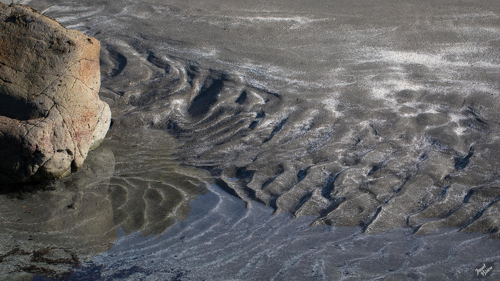 Nature's Abstract Masterpiece at Harris Beach  (+2 insets)