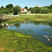 The Causeway