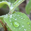 …gestern im Wald