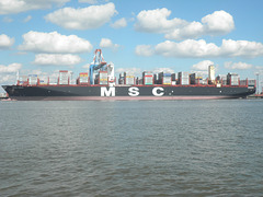 MSC INGY