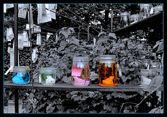 Les potions magiques Les potions magiques