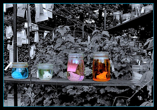Les potions magiques