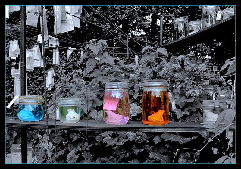 Les potions magiques