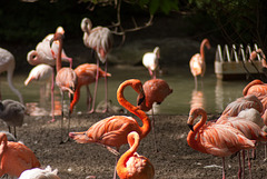 Tierpark Hellabrunn