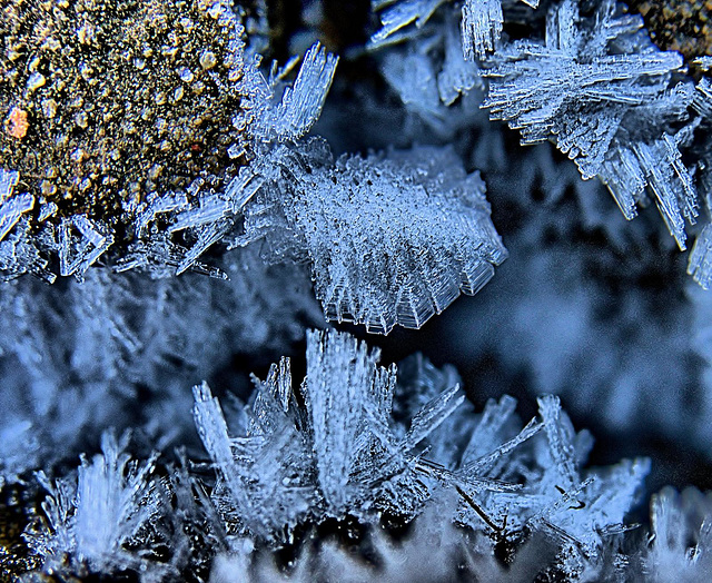 Little Frosty Bits Little Frosty Bits