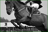 Saut de...page