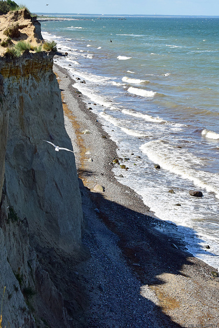 an der Steilküste bei Ahrenshoop (© Buelipix)