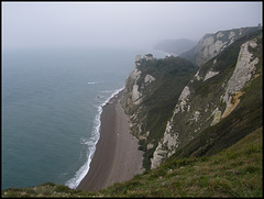 cliffs near Beer Head