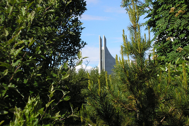 Askirkja Through The Trees