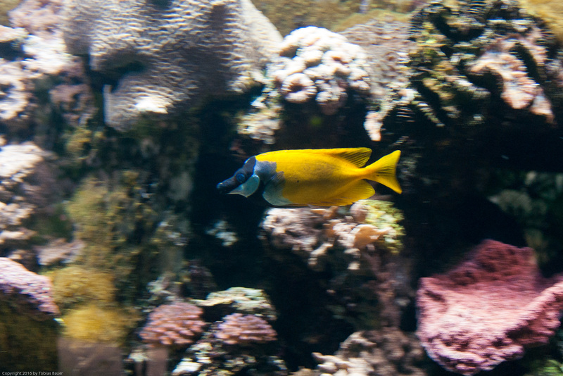Tierpark Hellabrunn