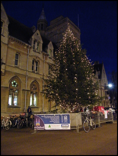 council's Christmas fence