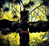 Totem 14