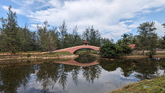 Passerelle sur miroir / Footbridge over mirror