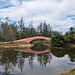 Passerelle sur miroir / Footbridge over mirror