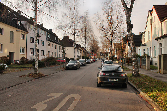Von-Köckeritz-Straße (Bochum-Hiltrop) / 10.12.2016