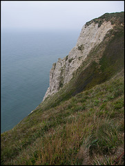 chalk cliff at Beer