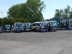 At the Galloway European Coachlines yard in Mendlesham - 14 Aug 2022 (P1130059)