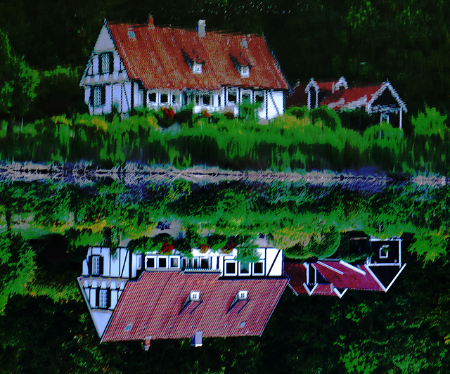 Wald, Horn Bad-Meinberg