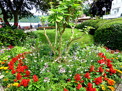 DE - Boppard - Seen along the promenade