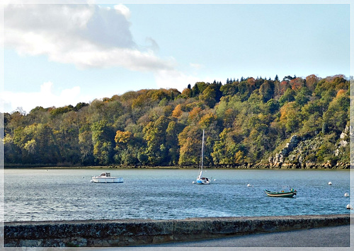 L'Automne au bord de Rance (22)