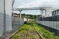 Altes Gleis am Petroleumhafen (Hafen Dortmund) / 19.08.2023